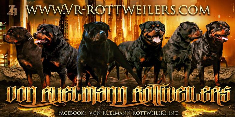 Von ruelmann rottweilers store prices