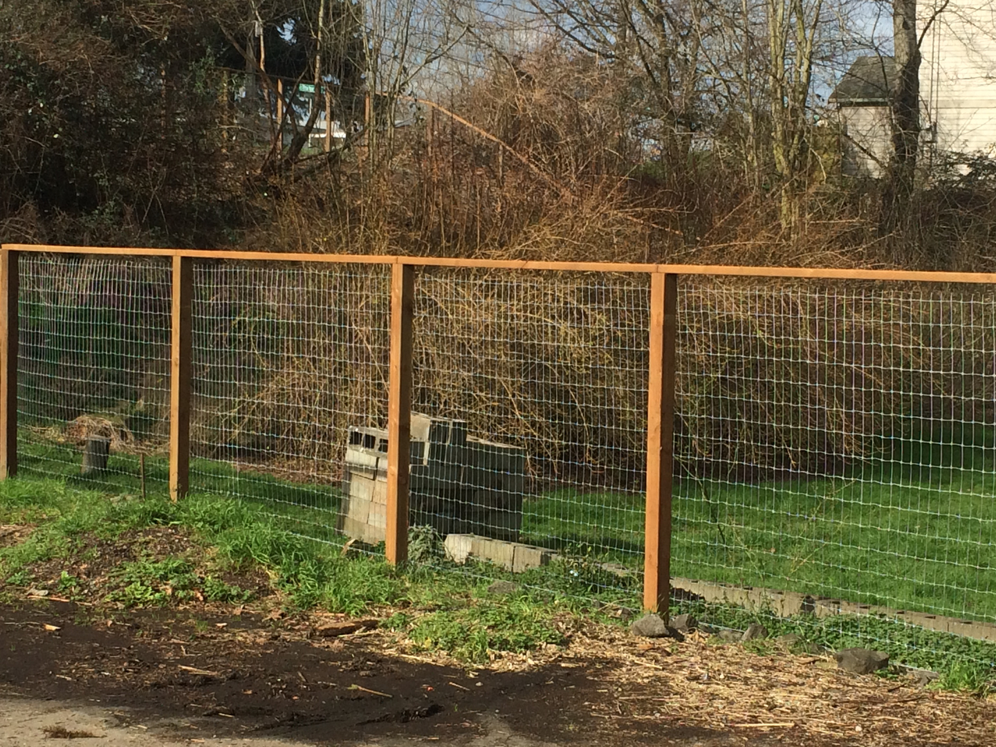 American shop wire fence