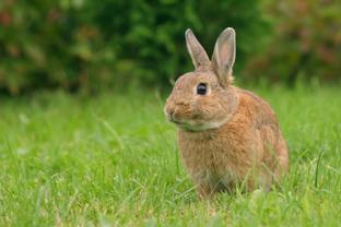 Check out our animal images to see who can visit for a live animal lesson and zoo birthday party.