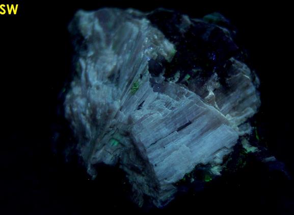 SW LW fluorescent SORENSENITE, AEGIRINE ACMITE - Kuannersuit plateau (Kvanefjeld), Ilimaussaq complex, Narsaq, Kujalleq, (Kitaa Province; West Greenland), Greenland, Denmark - Sørensenite type locality - ex Tom Pankratz