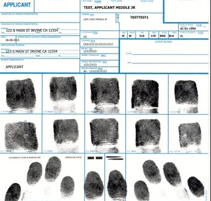 Miami Notary Llc Livescan Fingerprints In Miami Level 2 Background Check Fbi Reports