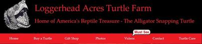 http://turtleman.com/videos