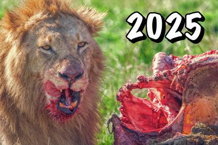 2025 TAASA Africa Safari