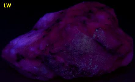 fluorescing CALCITE, MAGNETITE - Franklin, Franklin Mining District, Sussex County, New Jersey, USA - ex Borden, ex Morris Museum