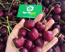 Cherry Mỹ