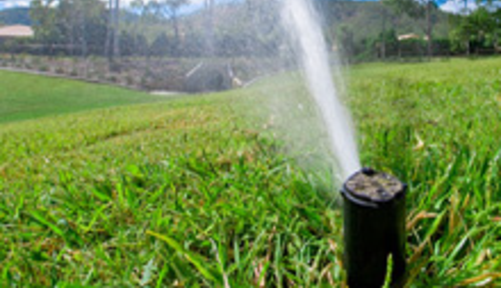 in ground sprinklers watering green grass