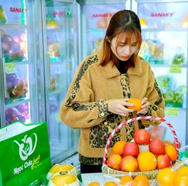 Hoa quả nhập khẩu Ngọc Châu fruits 479 Kim Mã, Ba Đình