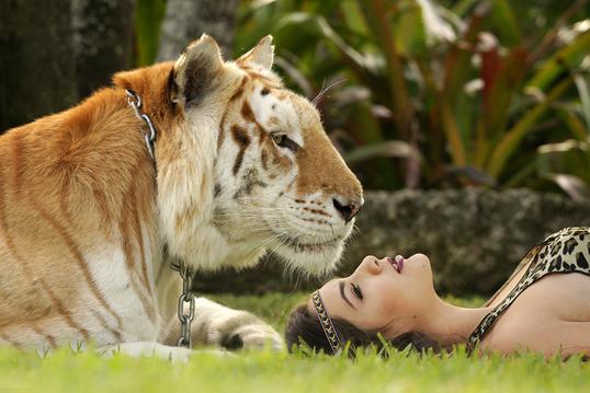 QUINCEANERA WITH TIGER MIAMI LOCATION