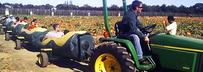 Picture of Hank's Corn Train