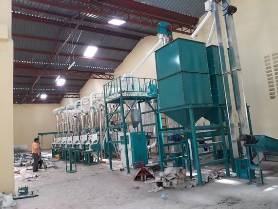 50T maize flour milling machinery in Kenya