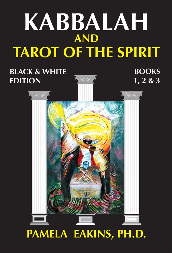 TAROT OF THE SPIRIT KARTEN DECK PAMELA JOYCE EAKINS ESOTERIC TELLING NEU 