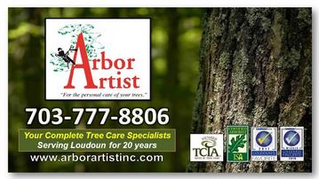 Arbor Artist Inc. Tree Care Specialists