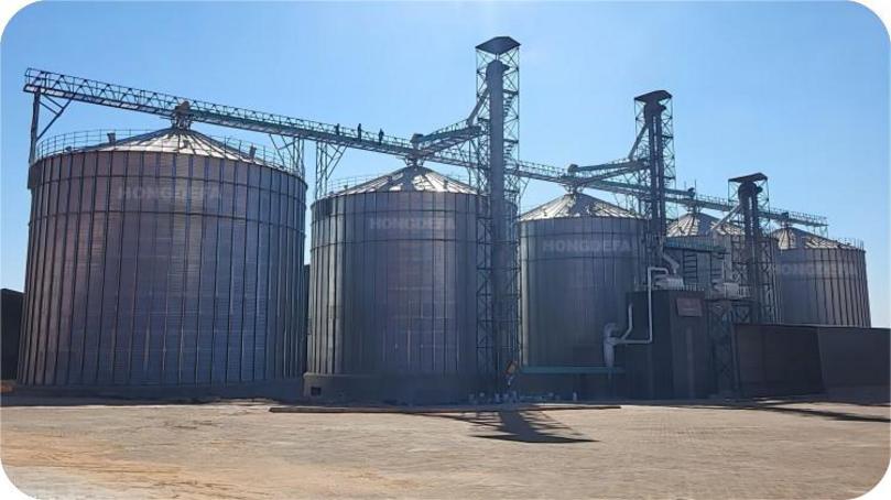 500T maize milling