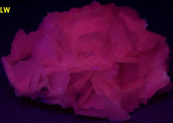 Fluoresces lw sw uv Calcite, quartz, Charcas, Mun. de Charcas, San Luis Potosi, Mexico, ex Parker Minerals, ex Edward A. Geisler