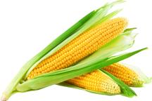 Sweet corn