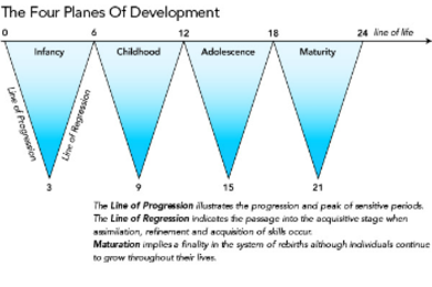 Human Tendencies and the four planes of developement - Montessori Print Shop