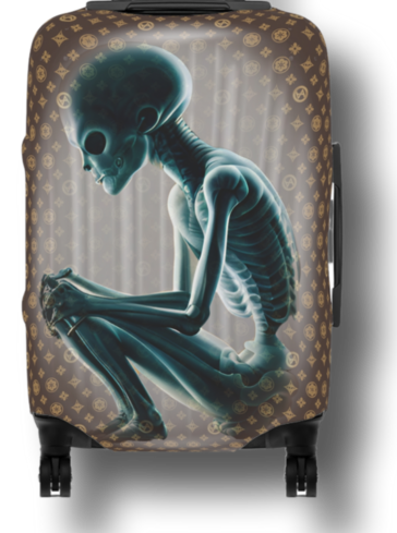 "NOTHING TO DECLARE" Carry On Suitcase Protector.