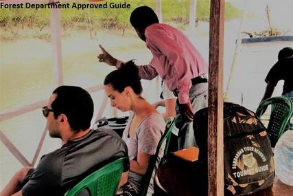 Guided Tours Of Sundarbans National Park One Day Same Single Trip From Kolkata