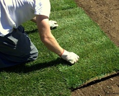 Expert sod installation in Oakville