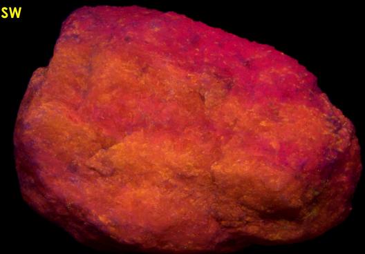 fluorescent CLINO-SUENOITE Manganocummingtonite and TREMOLITE - International Talc Company Mine No.8 (Reynolds Mine), Talcville, St. Lawrence County, New York, USA