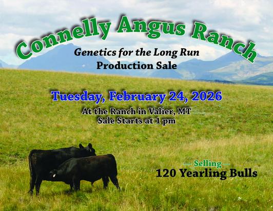 2026 Bull Sale Catalog