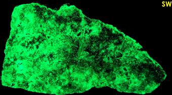 phosphorescent fluorescent WILLEMITE, ZINCITE, FRANKLINITE, CALCITE,Sterling Mine, Sterling Hill, Ogdensburg, Franklin Mining District, Sussex County, New Jersey, USA