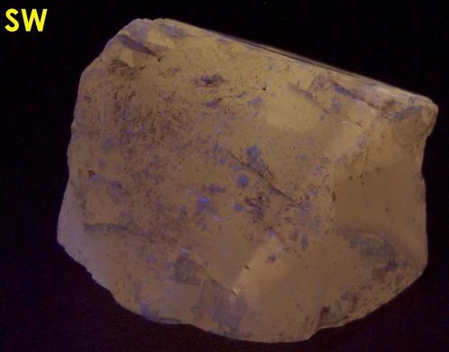 fluorescent CALCITE - Harlowton, Wheatland County, Montana, USA
