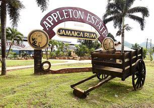 "Appleton Estate Rum Tour, Experience Jamaia's Rich History"