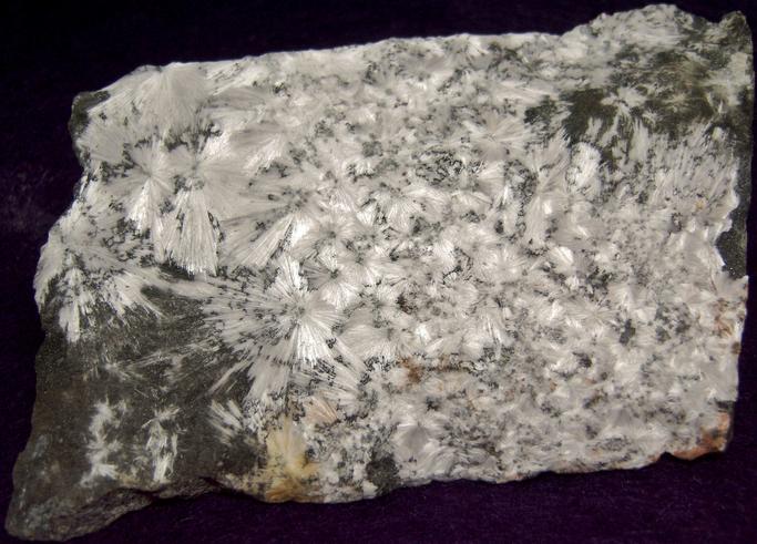 fluorescent phosphorescent Xonotlite, Magnetite, Serpentine, Hunting Hill quarry (Rockville Crushed Stone Quarry; Travilah Quarry; Rockville Quarry; Bardon Stone Quarry; Aggregate Industries Quarry), Rockville, Montgomery County, Maryland, USA, ex Fred J. Parker