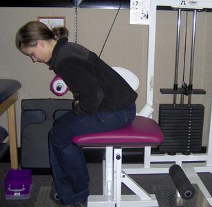 AGLA Chiropractic ProMaxima™ back weights machine