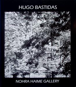 Hugo Bastidas: On the Surface