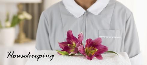 HOTEL RESORT HOUSEKEEPING SERVICES