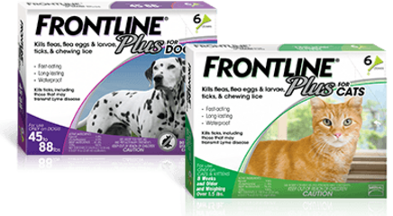 Frontline flea protection for dogs and cats, click for different packaging