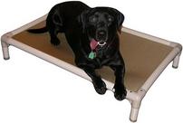 Kuranda 30" Elevated Dog Bed