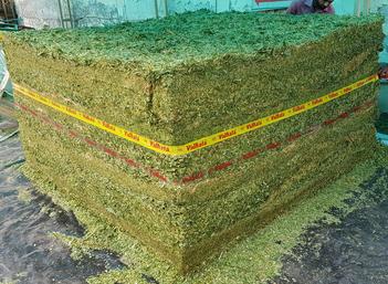 dye silage