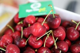 trái cherry tại Hà Nội