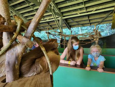 visit a sloth sanctuary