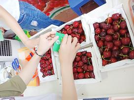 quả cherry, cung cấp quả cherry nhập khẩu bán tại Hà Nội