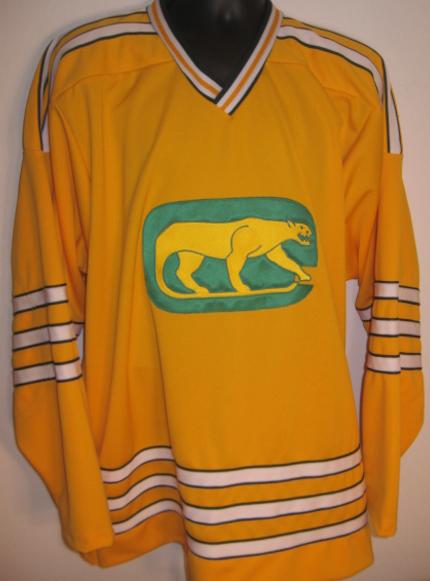 WHA Chicago Cougars vintage hockey jersey