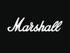 Maurice Arenas is an artist for Marshall Amplification