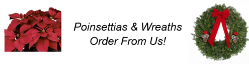 Troop 78 online shop to order poinsettias and wreaths