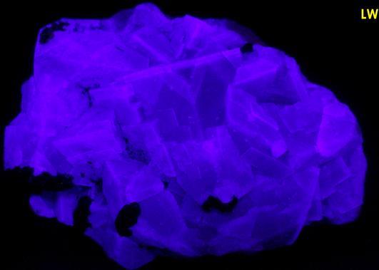fluorescent FLUORITE, SIDERITE - Hilton Mine, Scordale, Hilton (Murton), Escarpment District, Eden, North Pennines, South Eastern Region (Westmorland), Cumbria, England, United Kingdom