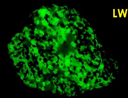 fluorescent sw lw willemite calcite franklinite franklin mine sussex new jersey