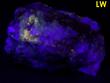fluorescent FLUORITE, Weldon Hill, Ellsworth District, Harquahala Mts, Maricopa County, Arizona, USA, ex "Butterfly" George Belzner