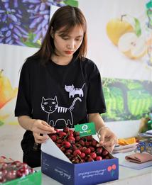 trái cherry tại Hà Nội