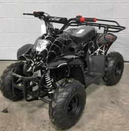 Chinese-ATV-Coolster-3050C-110cc-BlackSpider.jpg