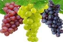 Grapes