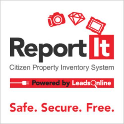 Report IT Citizen Property Inventory System Logo