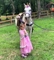 atlanta unicorn party, atlanta princess parties