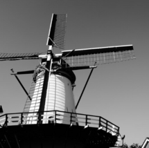 Tilting at Windmills